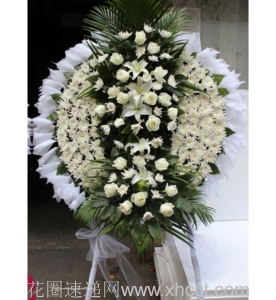 情凝雪片-白玫瑰，菊花，白百合，巴西木叶、龟背叶等装饰丰满。规格：高约为1.6米左右<葬礼花圈>