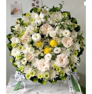 ˼����-�ջ���õ�塢���ա���Ҷ��������ͼ���ƣ����ֱ��70CM�������ԼΪ1.2������<����Ȧ>