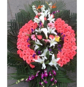 ���ҹ��-õ�塢���ʡ��ٺϡ���������Ҷ��������ͼ���ƣ����ֱ��1�ף������ԼΪ1.6������<����Ȧ>