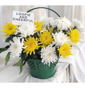 ���˵���-�ջ�����Ҷ��壬10*10CM����<���仨��>