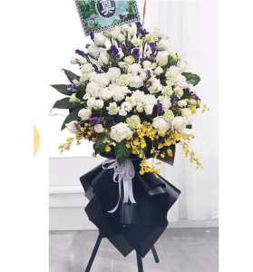 ׷¼Ц��-õ�壬�۹�������ܰ��ɢβҶ����ϣ�������»�������1.5������<���Ứ��>