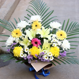 ��������-�ջ������ʡ��ٺϣ���Ҷ��壬15*15CM����<���仨��>
