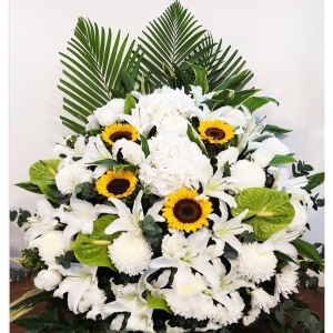 �����ǳ�-�ջ������ʡ��ٺϣ����տ�����Ҷ��壬15*15CM����<���仨��>
